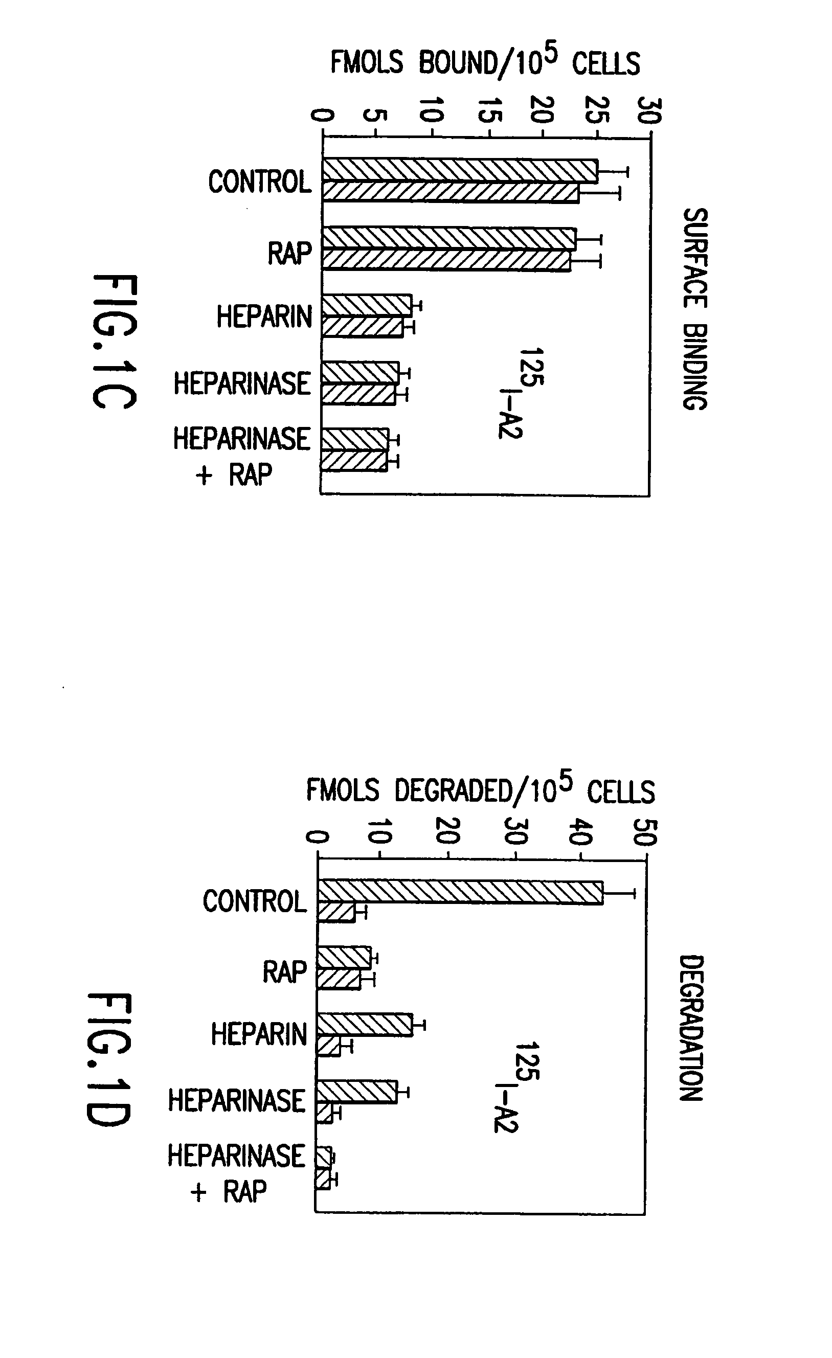 Factor VIII compositions and methods