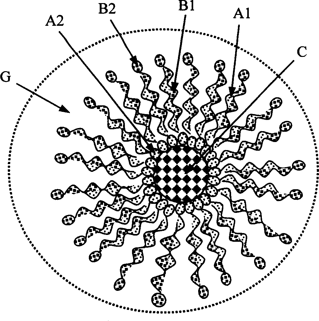 Hydrophobic nano particles and process for preparing dispersion liquid thereof