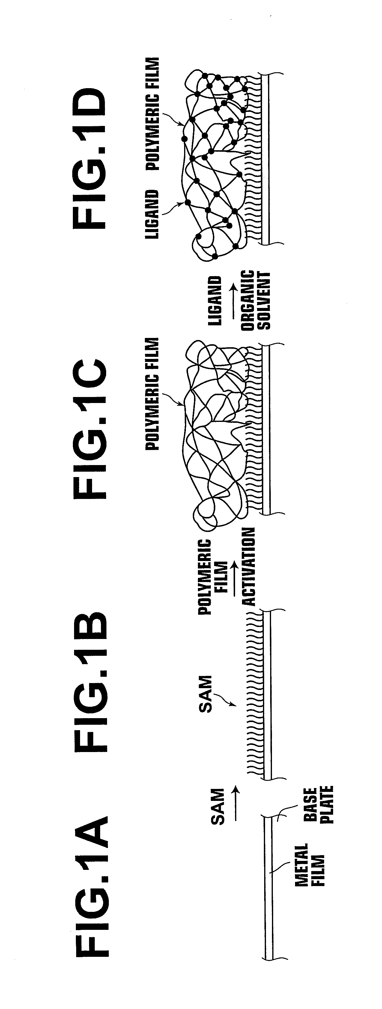 Carrier, process for producing same, bioreactor, and chip for surface plasmon resonance analysis