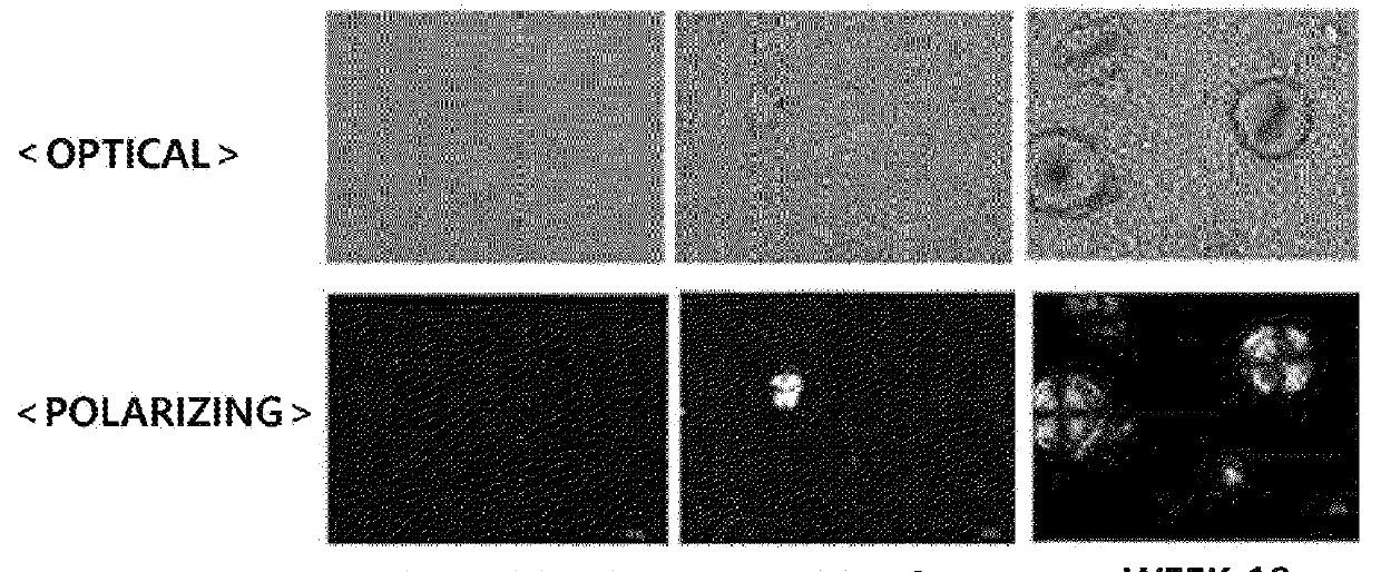 Cosmetic composition having high dosage form stability