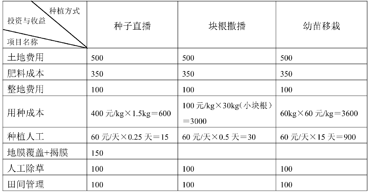 High-yield cultivation method and large-scale planting method of cat's claw direct seeding and film mulching