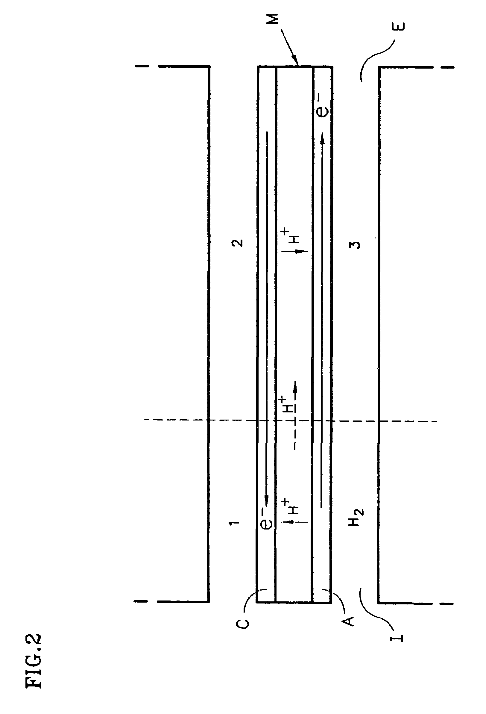 Procedure for starting up a fuel cell system having an anode exhaust recycle loop
