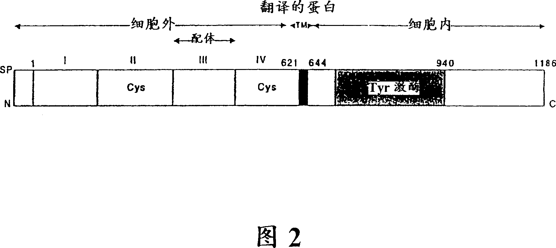 Methods for identifying inducers and inhibitors of propteolytic antibodies, compositions and their uses