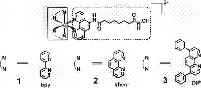 Ruthenium complex and preparation method thereof and purpose of product as histone deacetylase inhibitor