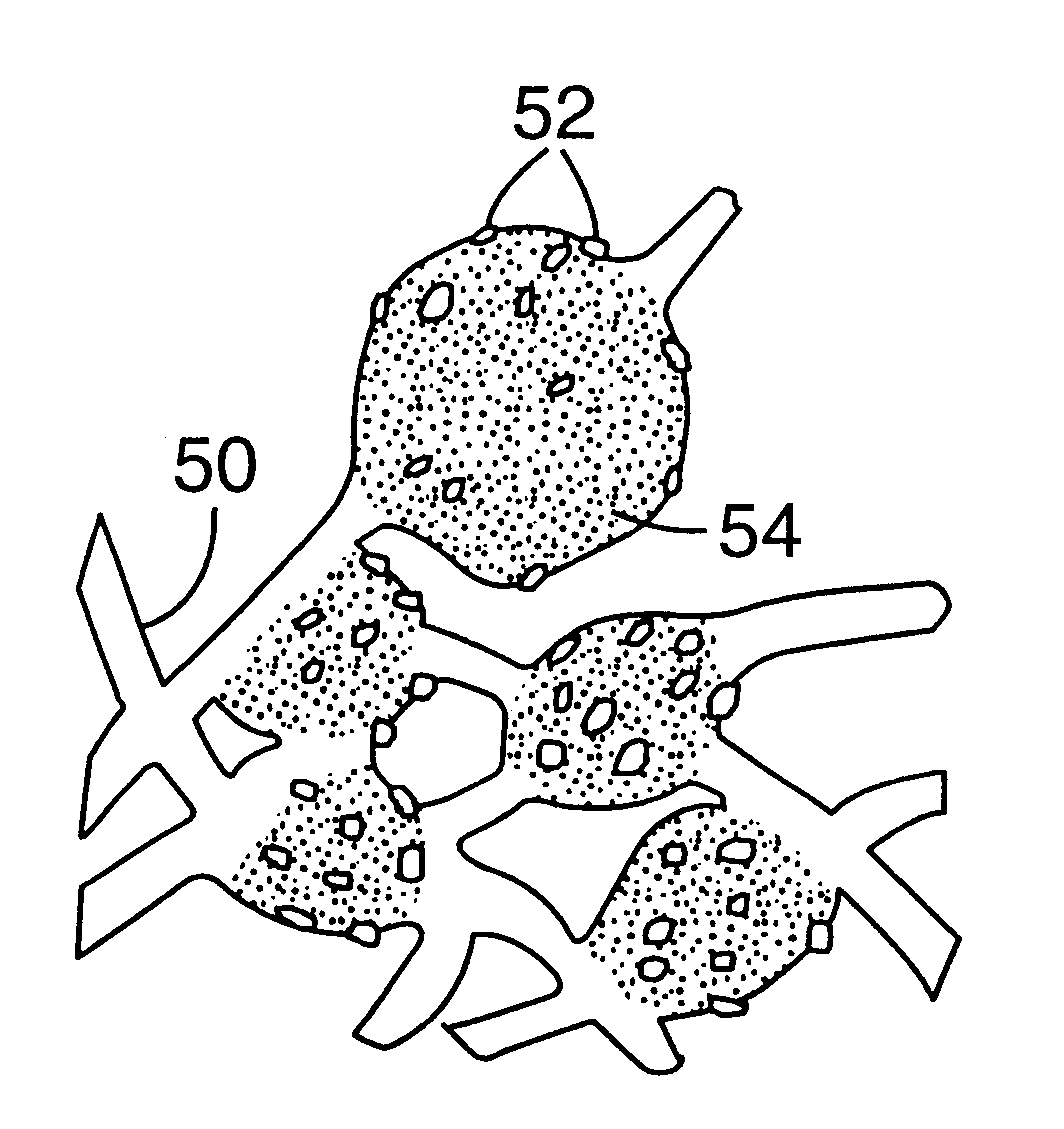 Fused AL2O3-rare earth oxide-ZrO2 eutectic abrasive particles, abrasive articles, and methods of making and using the same