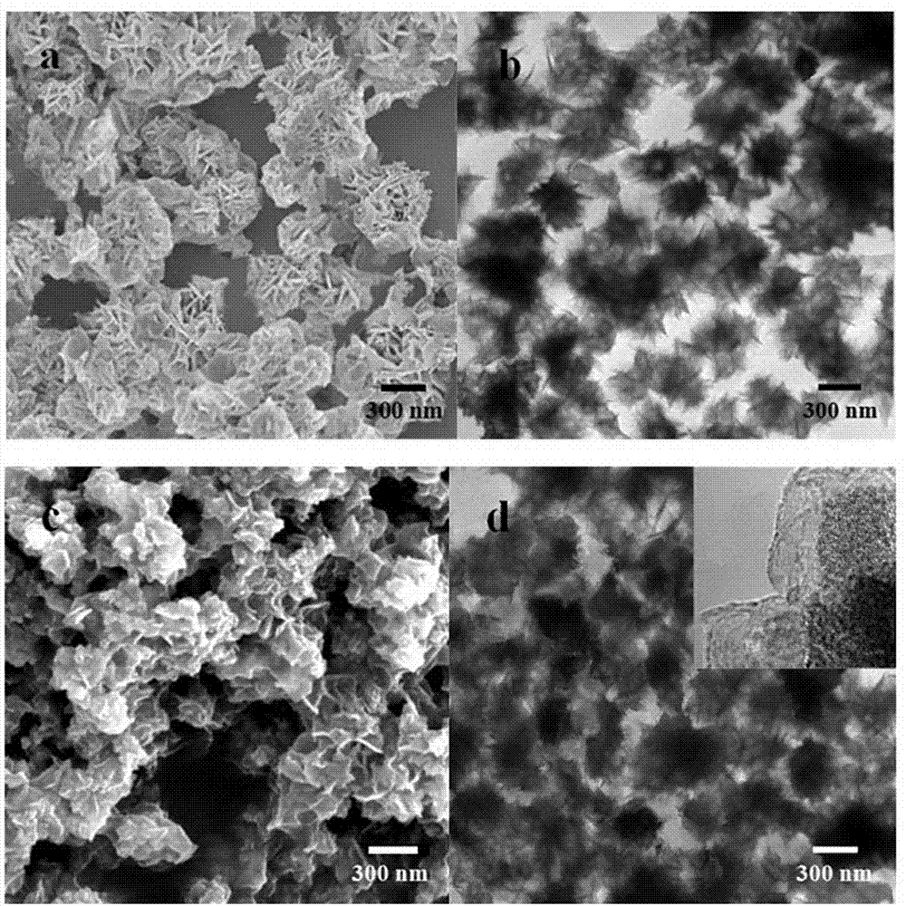 Functional carbon wrapping Fe3O4 multihole nanocomposite and preparing method thereof and application of functional carbon wrapping Fe3O4 multihole nanocomposite serving as drug carrier