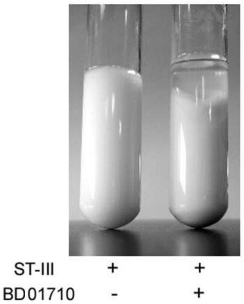 A method for promoting the growth of plant lactobacillus st-iii