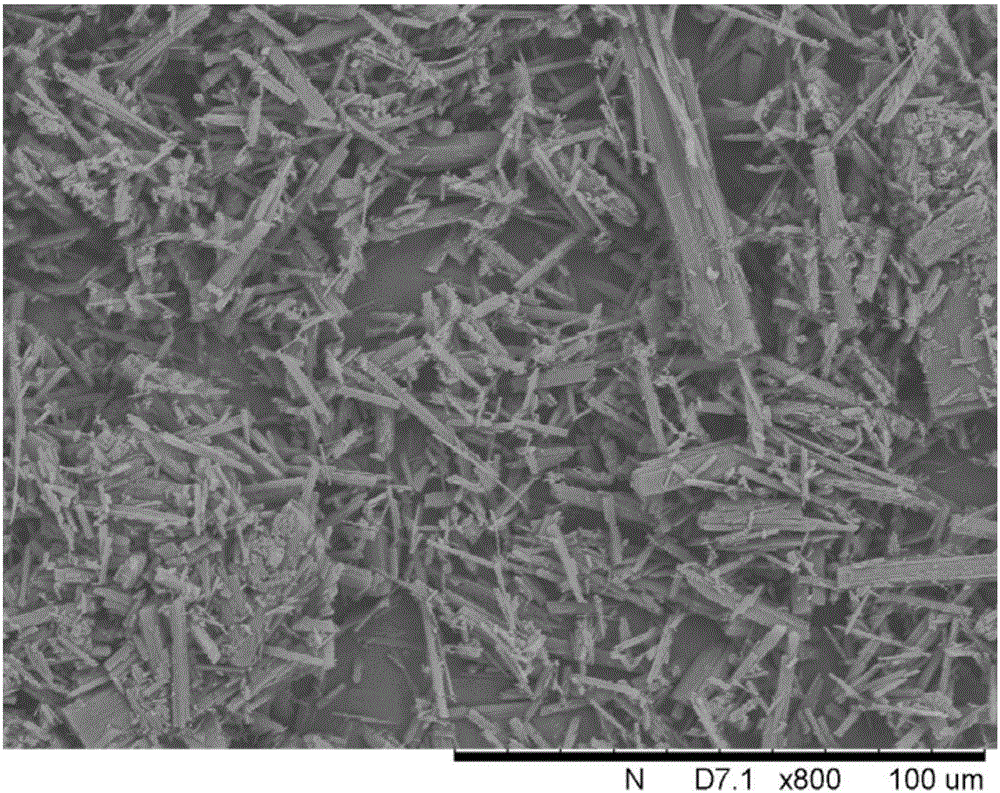 Method for preparing amorphous tildipirosin