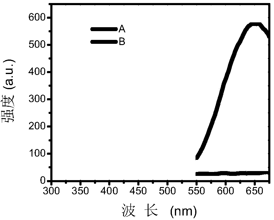 Urease activity fluorescence determination method based on gold nano cluster