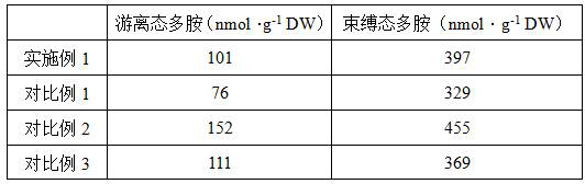 Preparation method of mung bean sprout yoghourt