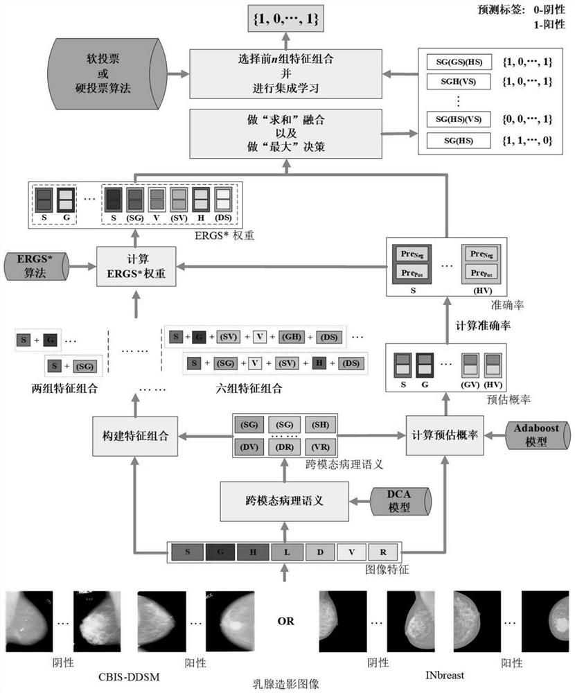 Breast cancer image recognition method and system based on multi-stage and multi-feature deep fusion