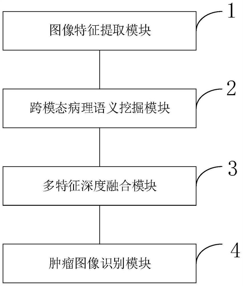 Breast cancer image recognition method and system based on multi-stage and multi-feature deep fusion