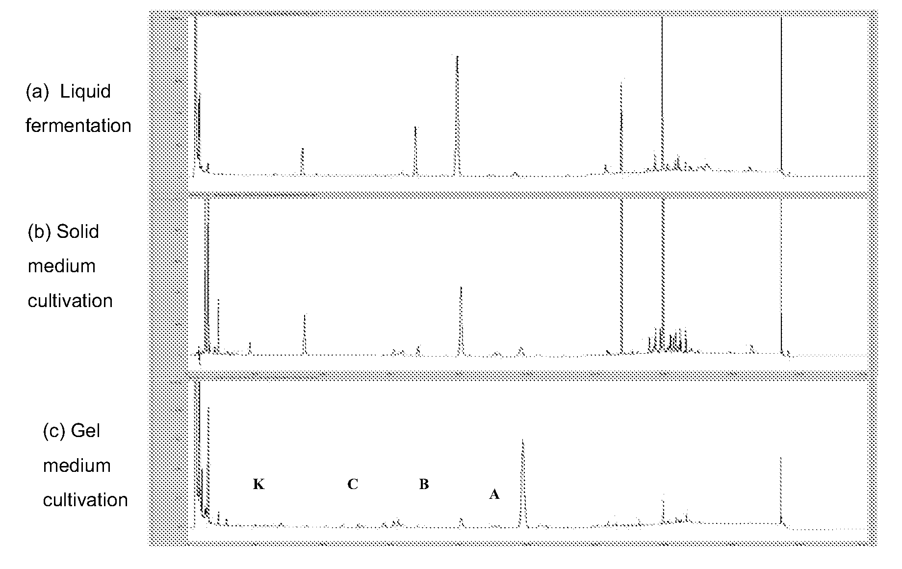 Fungal mixture and preparation thereof