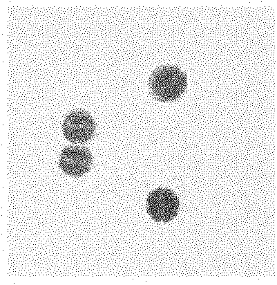 Culture medium for Pseudoalteromonas sp.DHQ25 and preparation method thereof