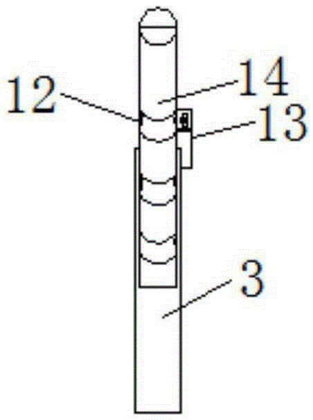 Greenhouse rainwater irrigation device