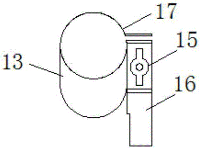 Greenhouse rainwater irrigation device