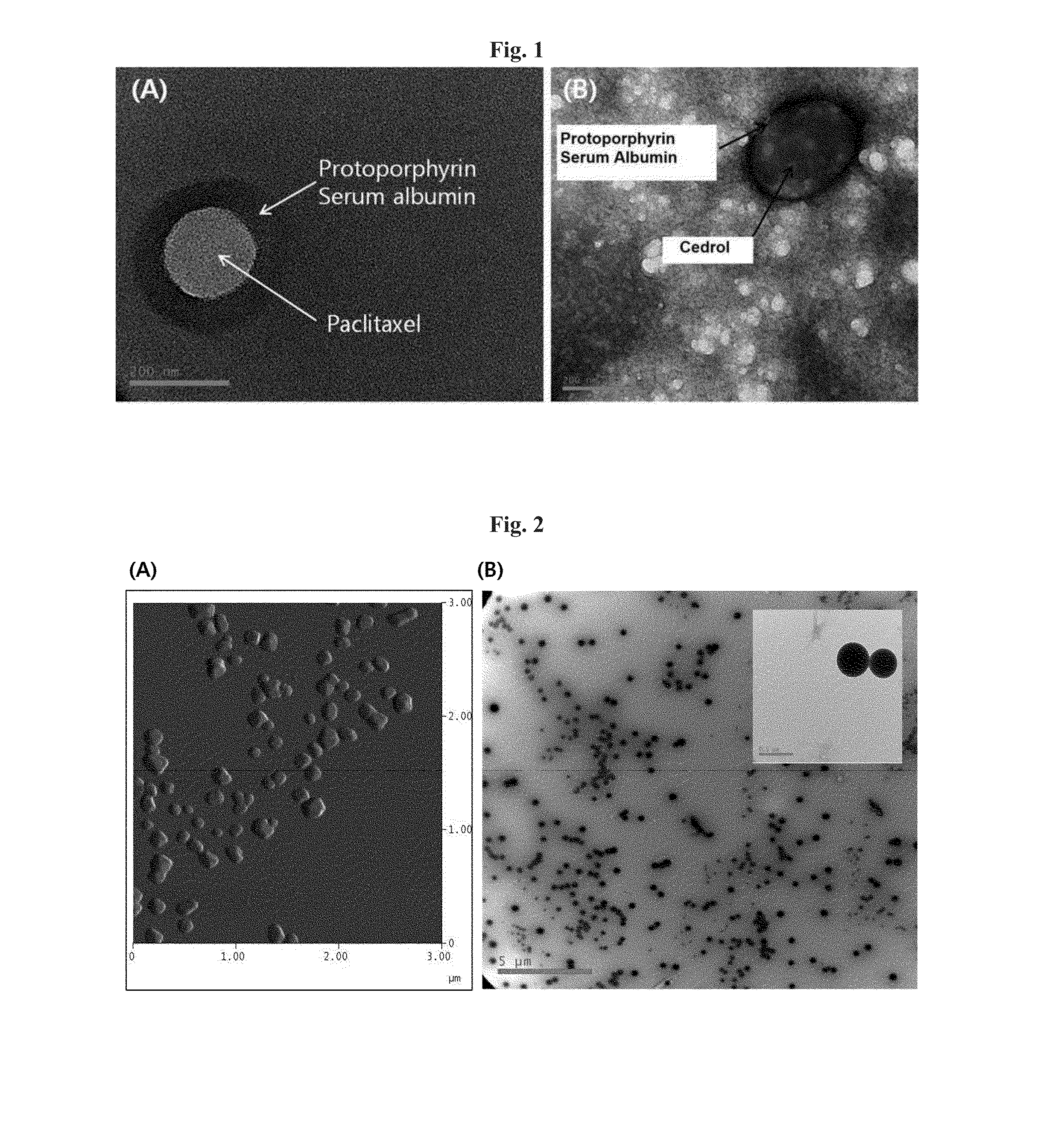 Targeting-enhanced anticancer nanoparticles and preparation methods of same