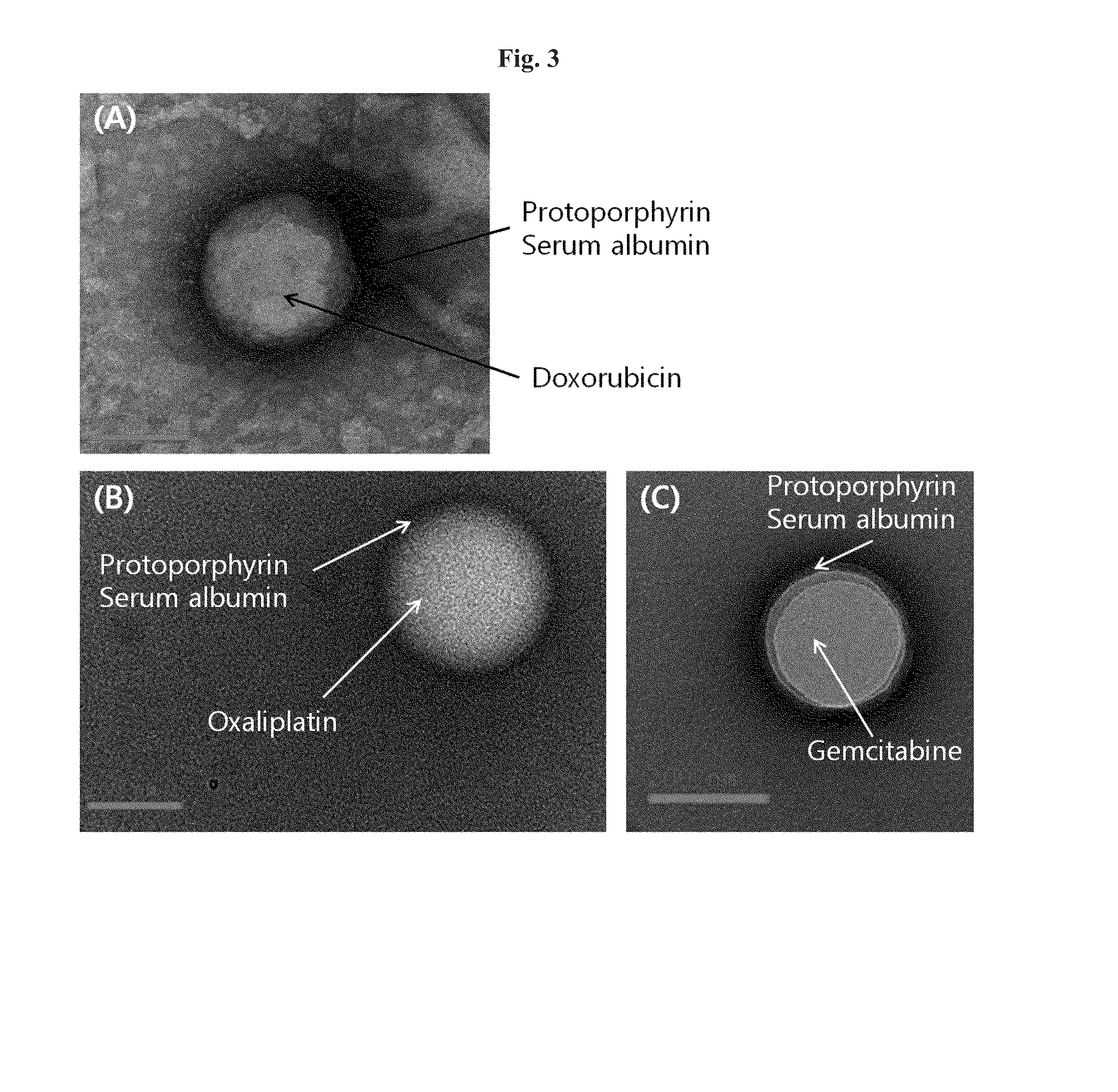 Targeting-enhanced anticancer nanoparticles and preparation methods of same