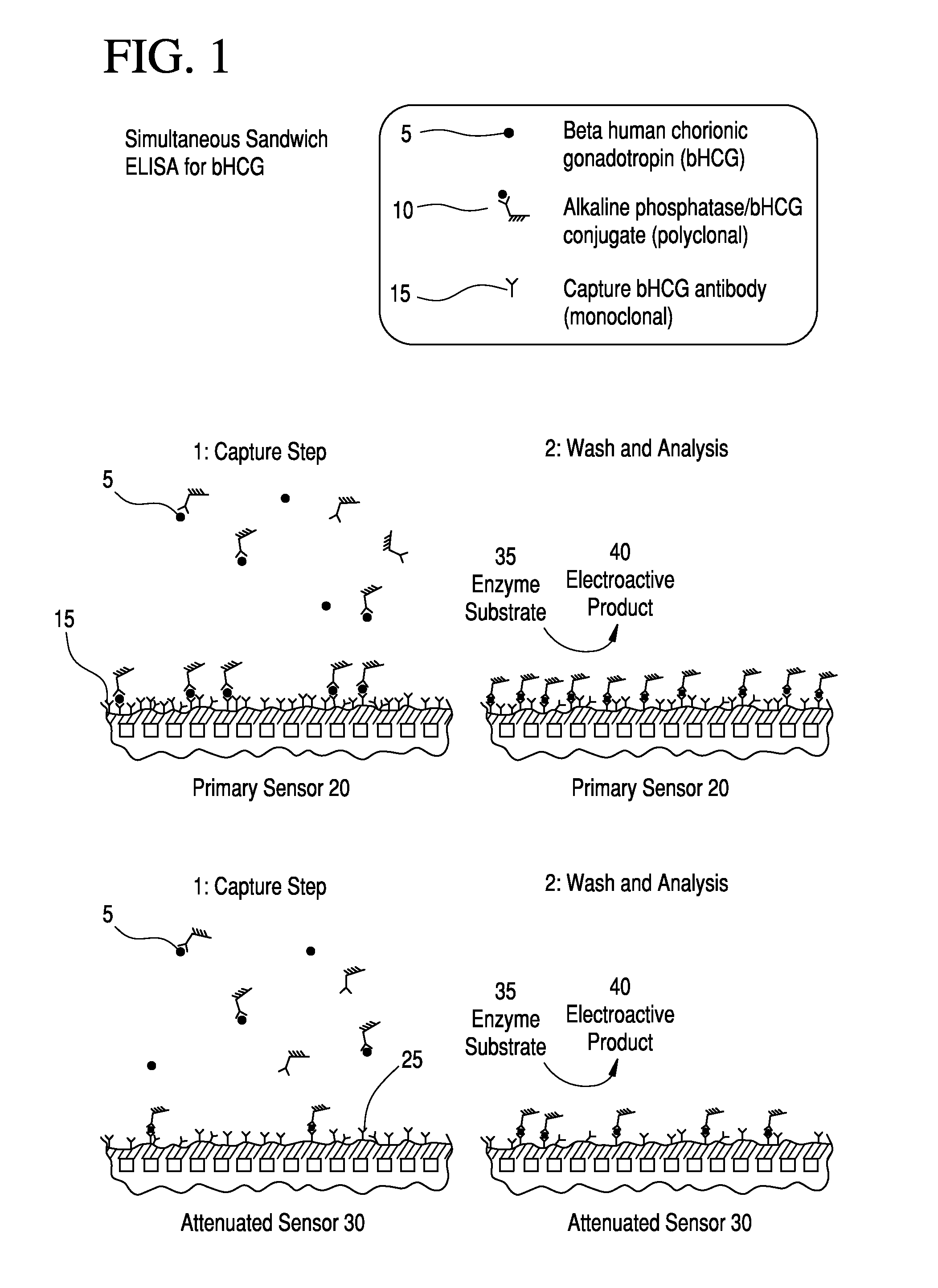 Apparatus and method for identifying a hook effect and expanding the dynamic range in point of care immunoassays