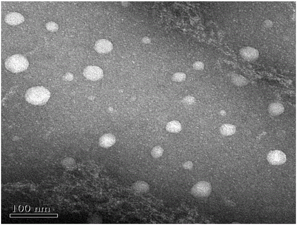 Hemicellulose-based light response nano hydrogel and preparation method and application thereof