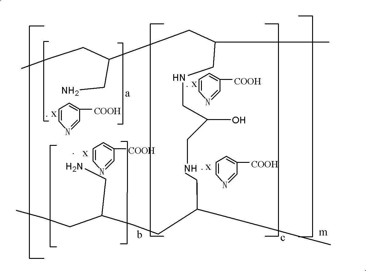 Preparation method of niacin sevelamer