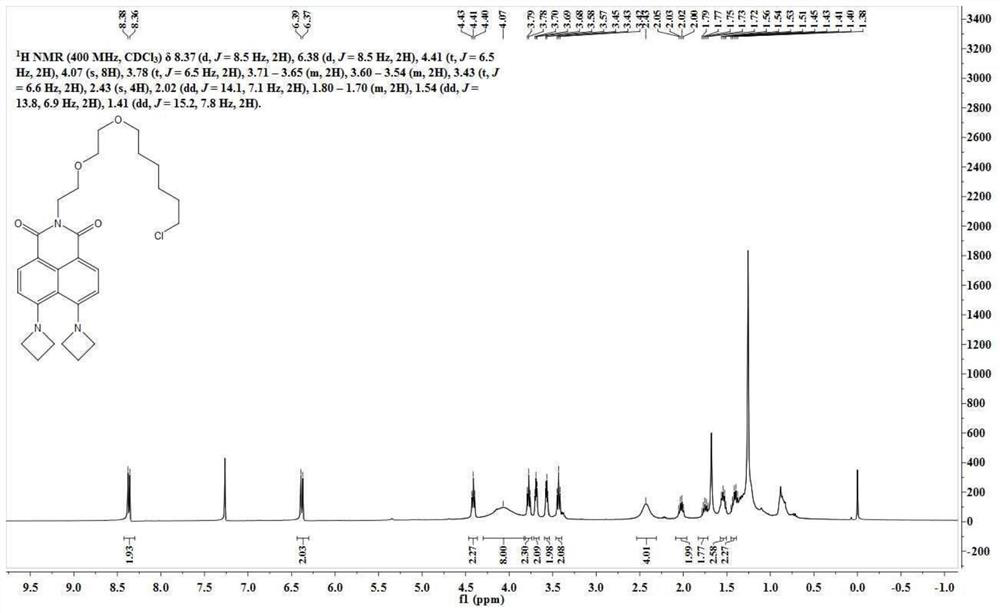 A class of highly stable wash-free halo-tag probes and their synthesis and biological applications