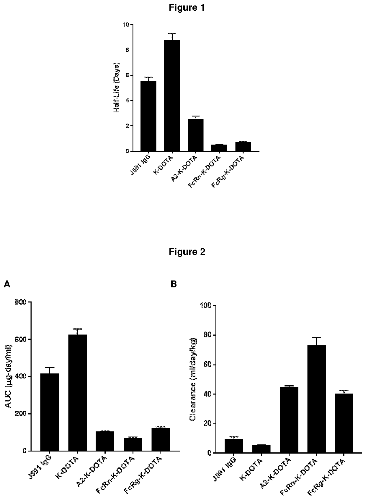 Antibodies for binding psma with reduced affinity for the neonatal fc receptor