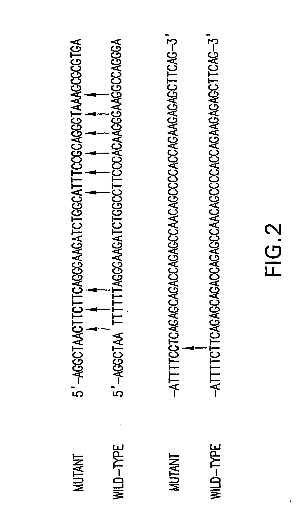 Compositions and Methods Related to Controlled Gene Expression Using Viral Vectors