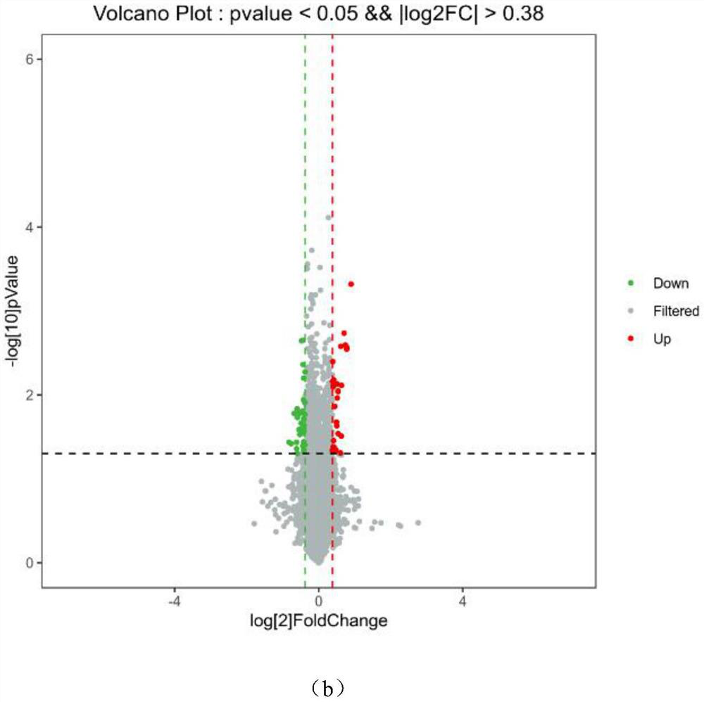 Application of miRNA molecular marker in schizophrenia detection