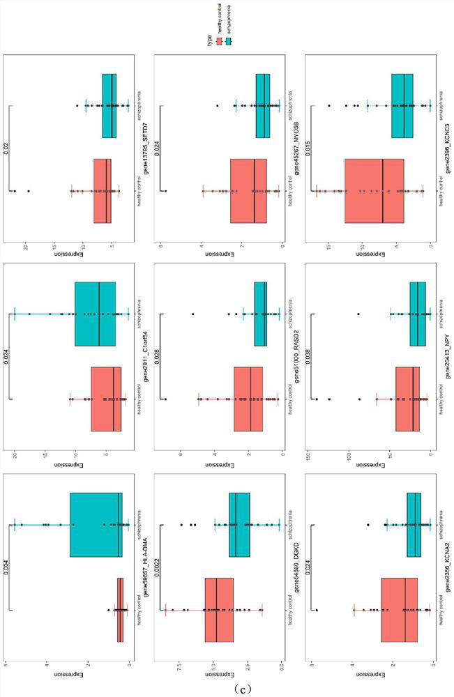 Application of miRNA molecular marker in schizophrenia detection