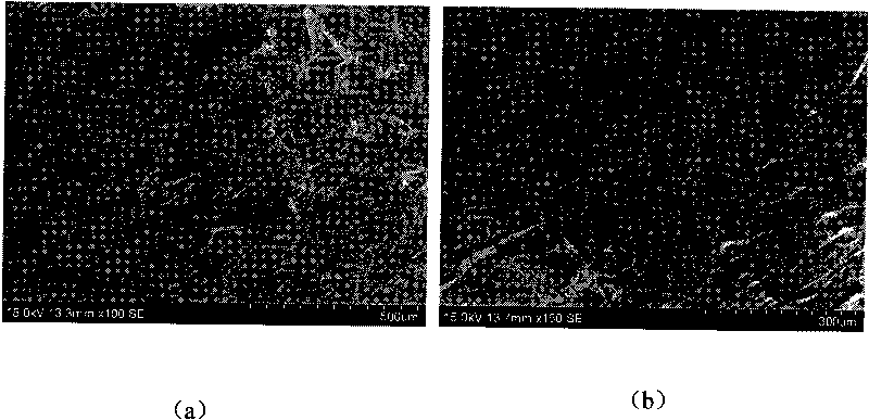 Preparation method of bismuth-containing eulytite bismuth silicate crystals