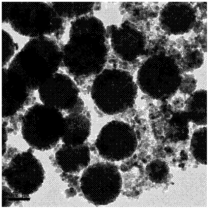 Preparation method of magnetic composite nanomaterial , product prepared by the method, and application thereof