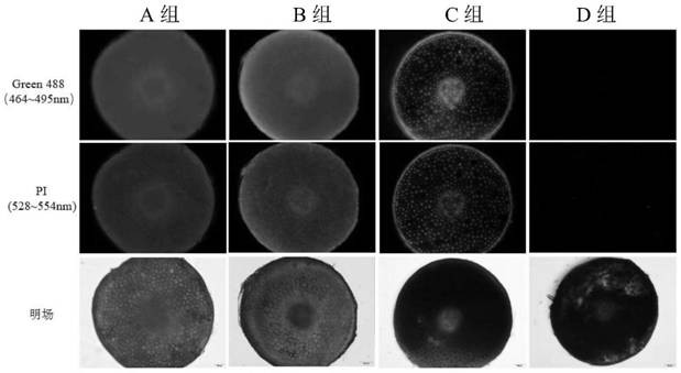 Method for eliminating autofluorescence of plant tissue