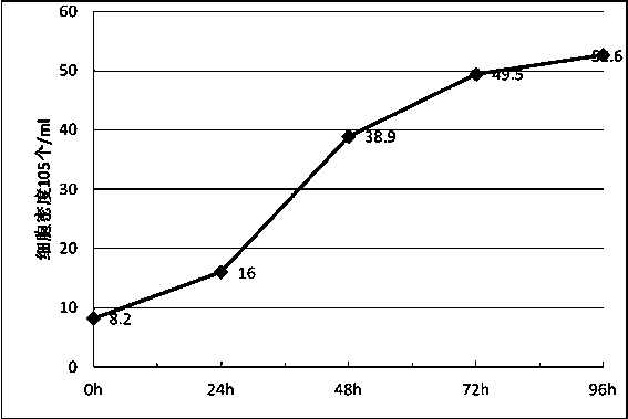 A kind of vero E6 cell line adapted to full suspension culture and application thereof