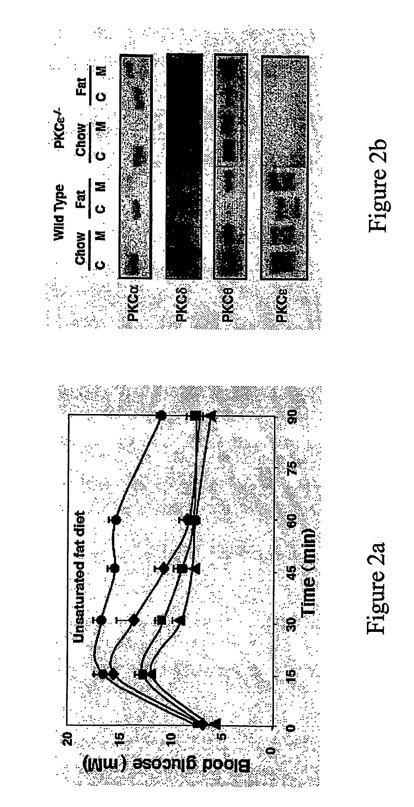 Methods for Identifying Modulators of Protein Kinase C-Epsilon (Pkce) and Method of Treatment of Aberrant Glucose Metabolism Associated Therewith