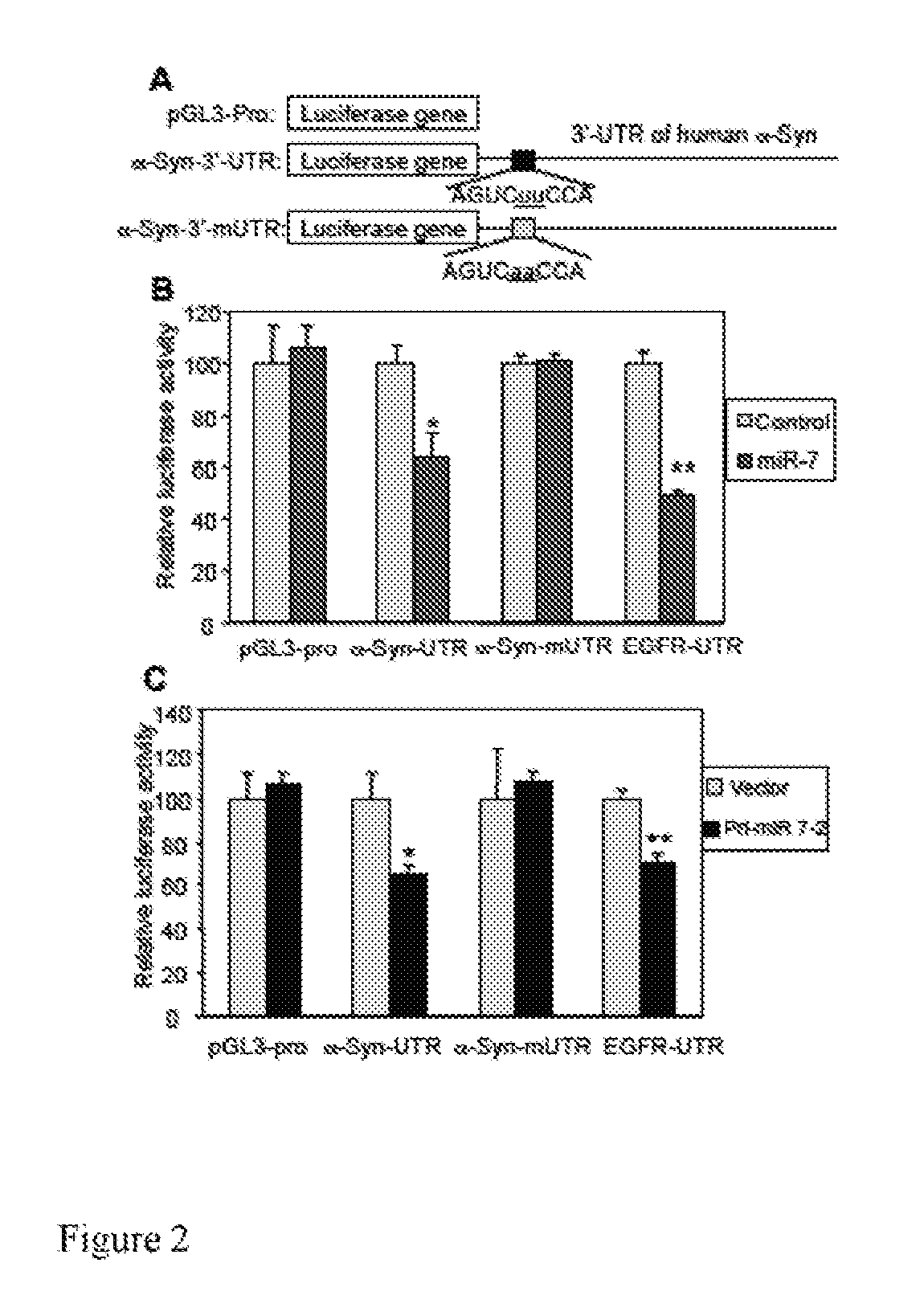 RNA targeting in alpha-synucleinopathies