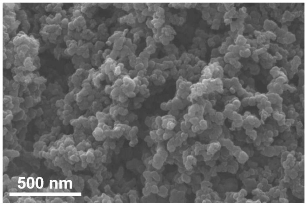 Preparation method and application of rare earth metal and transition metal co-doped carbon-based material