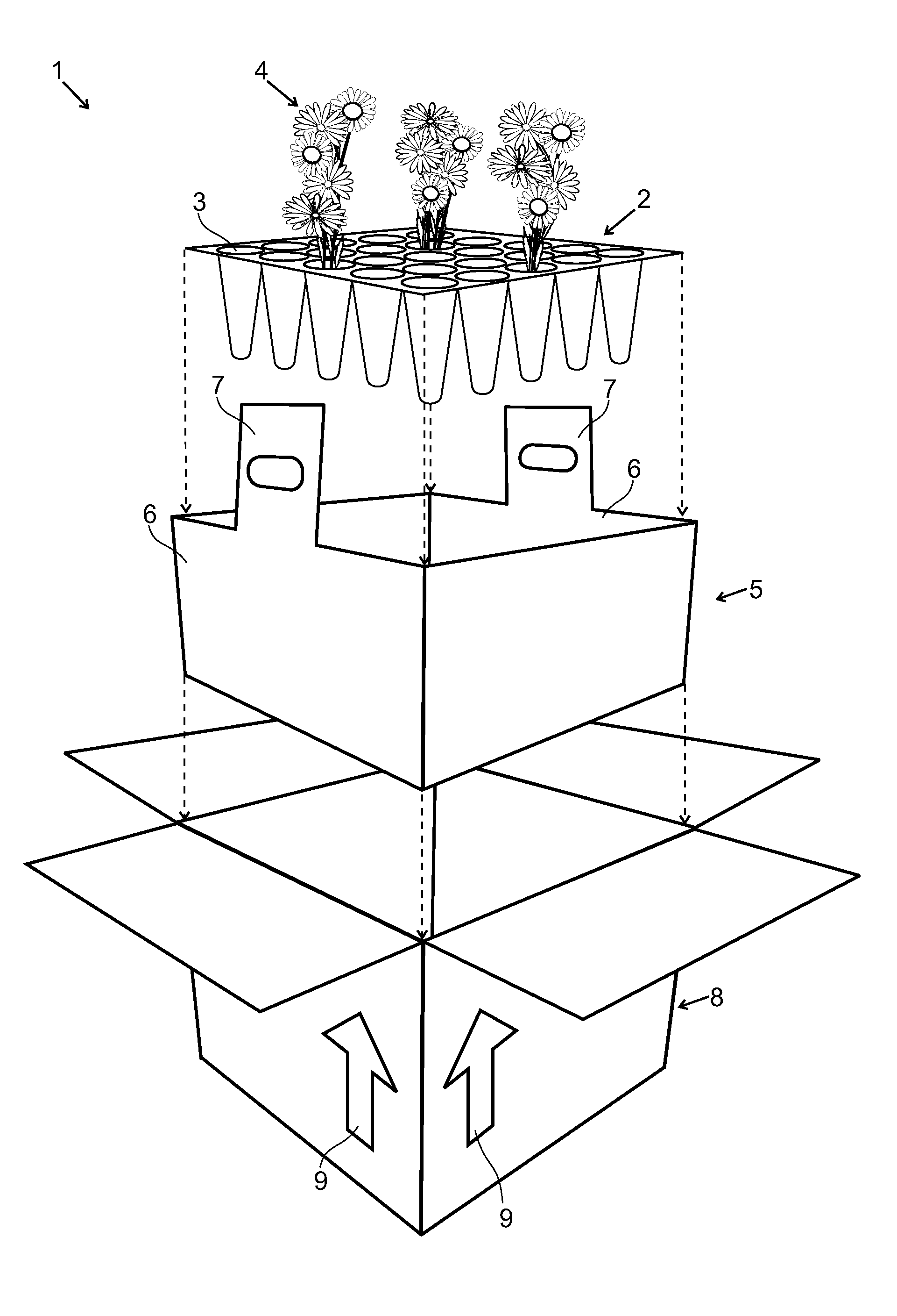 Assemblies, Systems and Methods for the Transportation and Display of Plants and Flowers