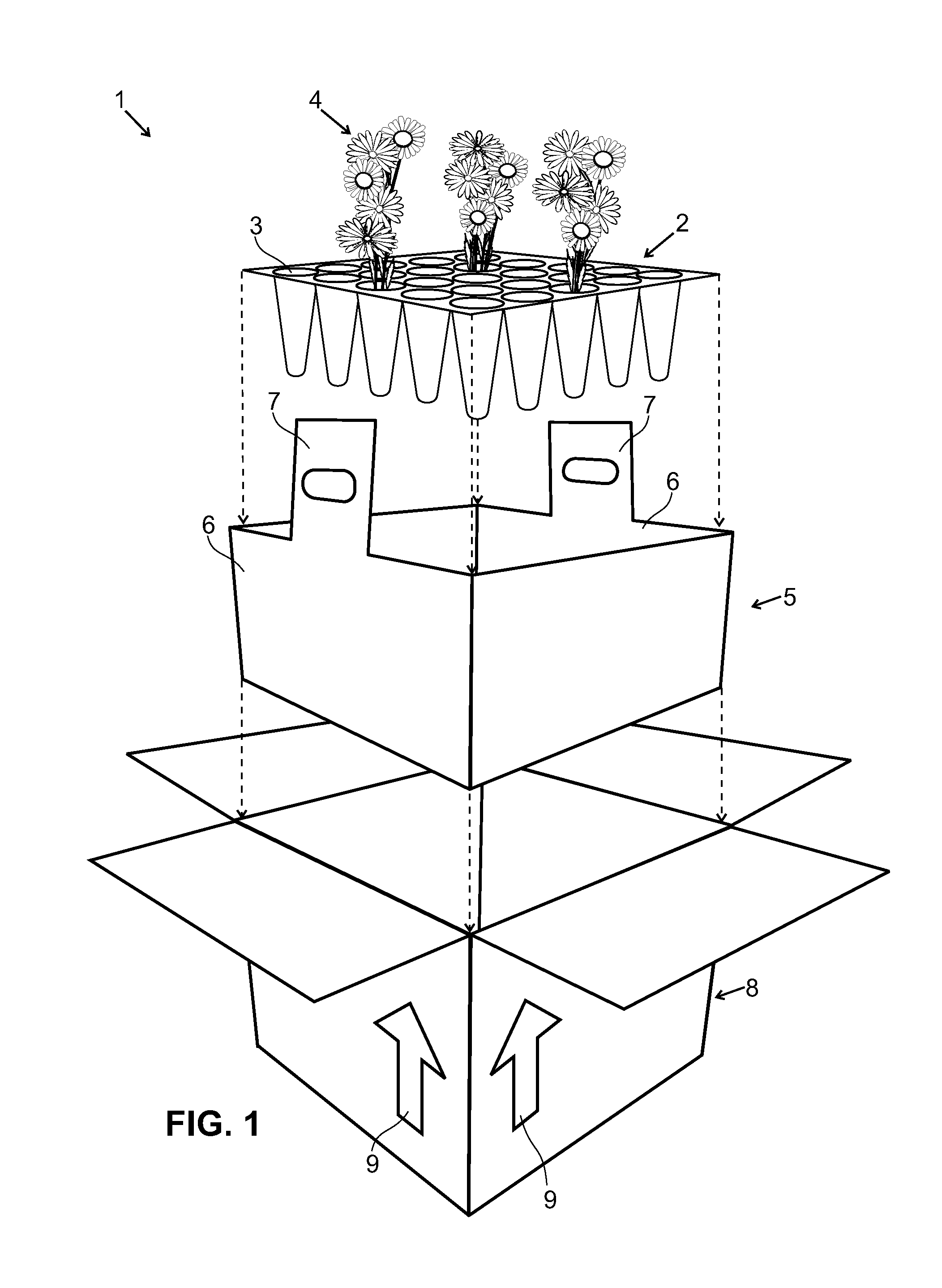 Assemblies, Systems and Methods for the Transportation and Display of Plants and Flowers