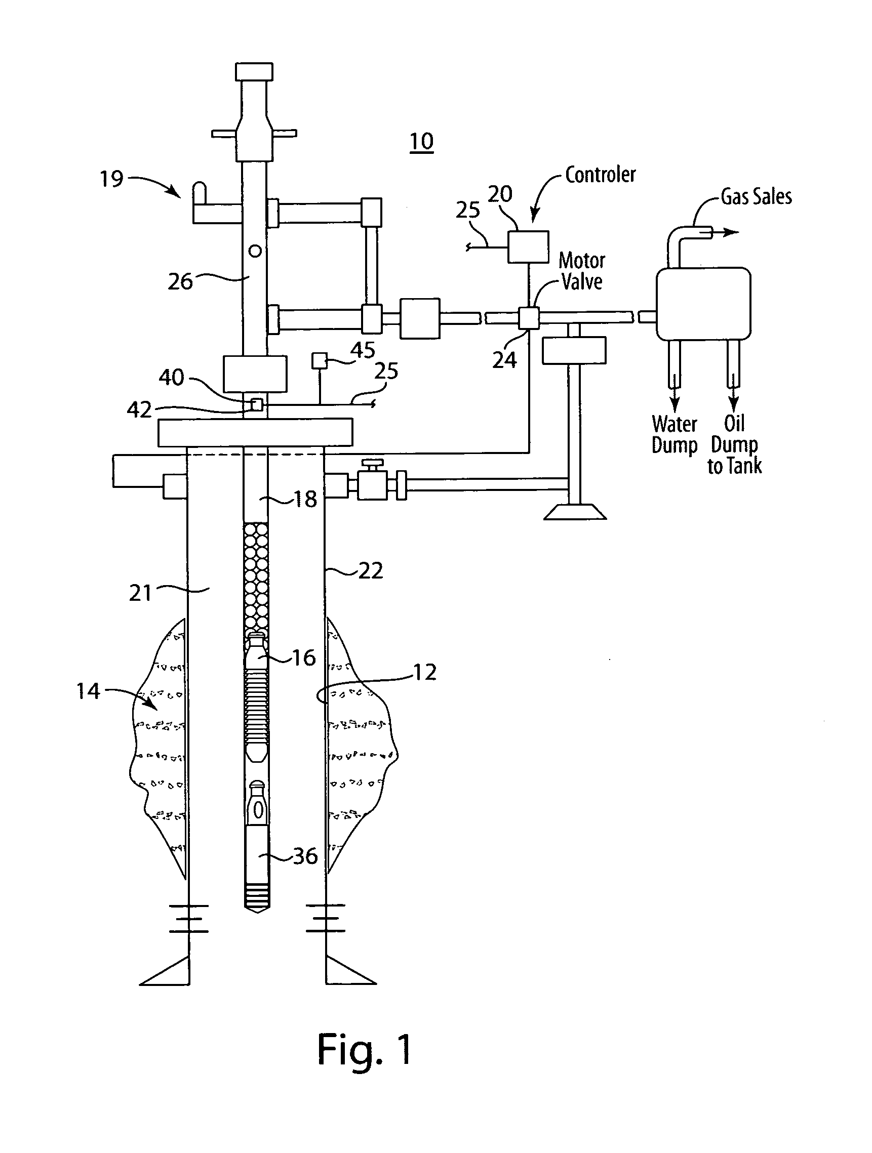 Plunger lift control system arrangement