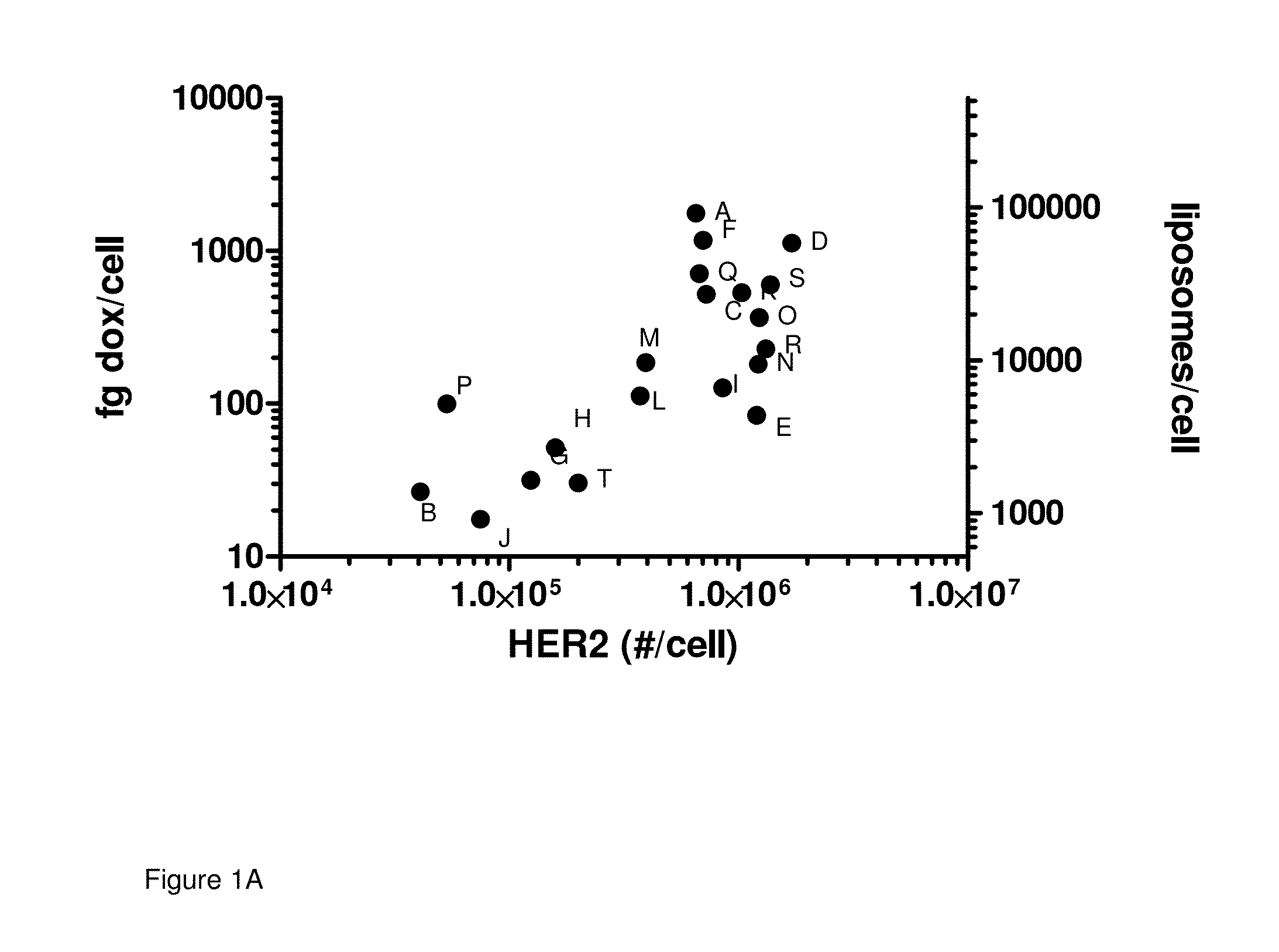 Dosage and administration for preventing cardiotoxicity in treatment with erbb2-targeted immunoliposomes comprising anthracyclin chemotherapeutic agents