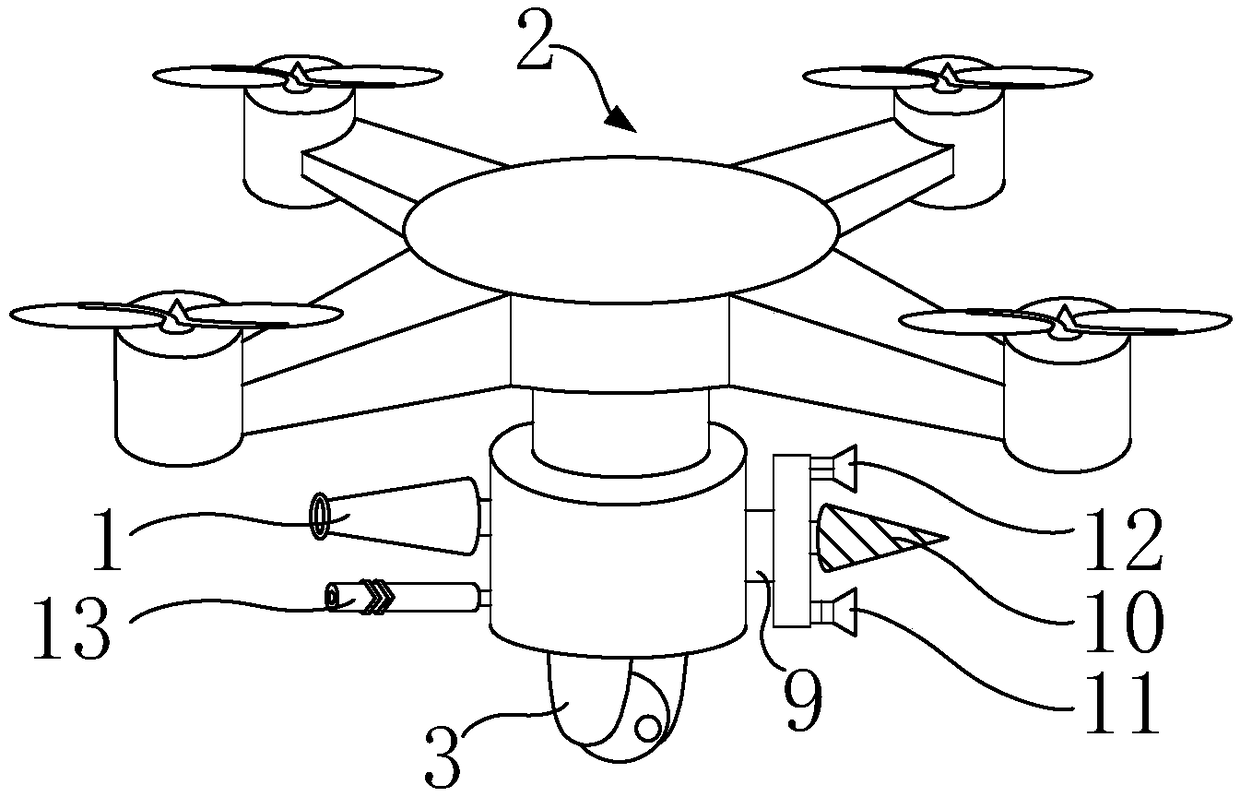 Removing system and method for hornet nests