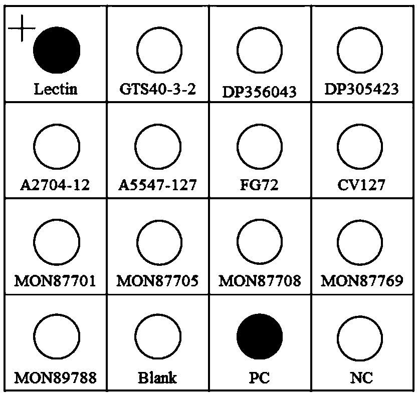 Detection kit and method of common transgenic soybean strains