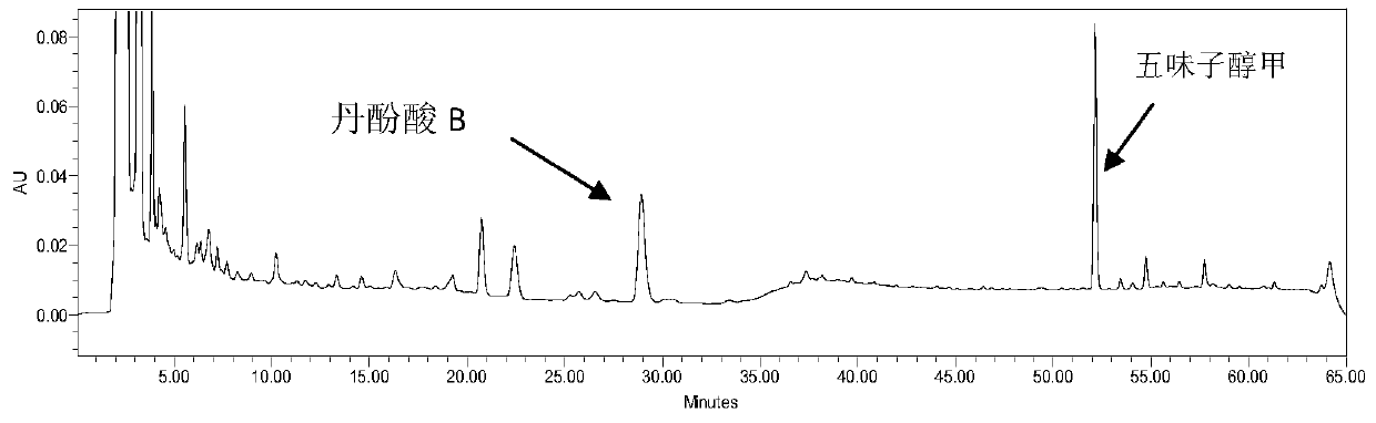 Method of Determination of Salvianolic Acid B and Schisandrin A in Yixin Fumai Granules by One Test and Multiple Evaluation