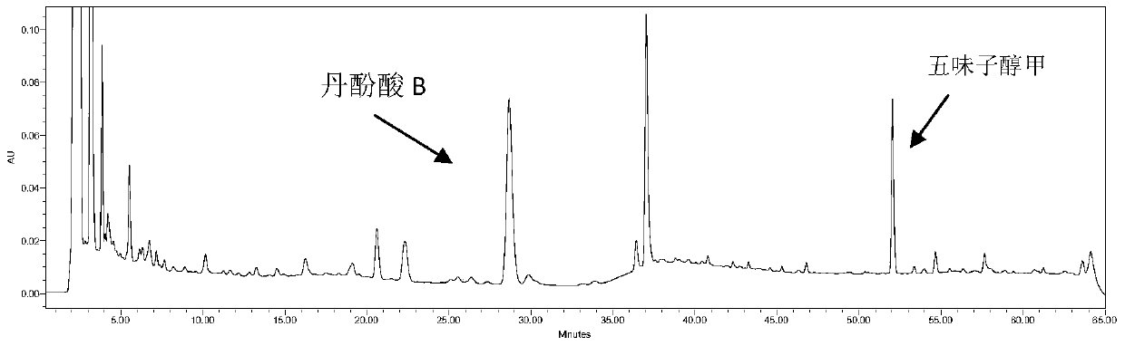 Method of Determination of Salvianolic Acid B and Schisandrin A in Yixin Fumai Granules by One Test and Multiple Evaluation