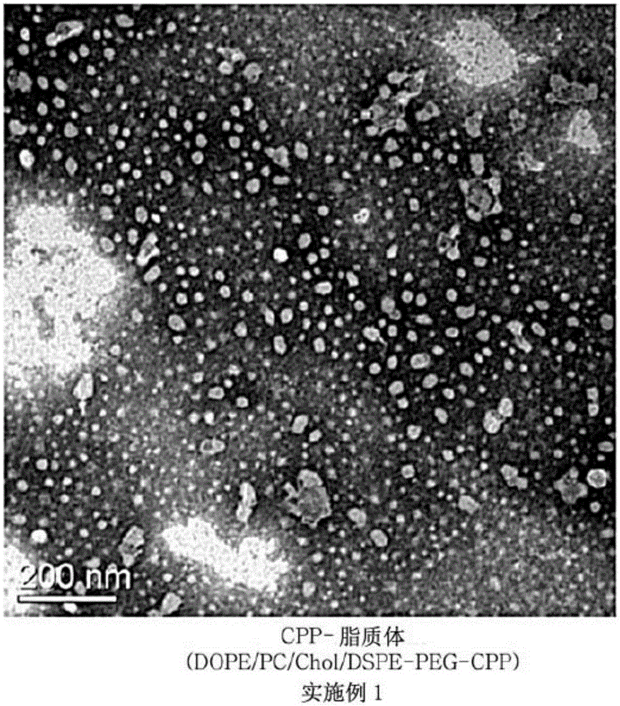 Cell penetrating peptide introduced drug-delivery carrier comprising macromolecule