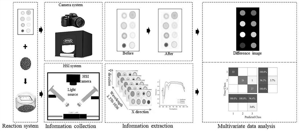 Method for monitoring fermentation degree of black tea through hyperspectral coupled nanocrystallization colorimetric sensor