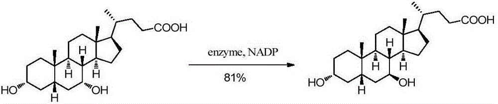 Chemical-enzymatic preparation of UDCA
