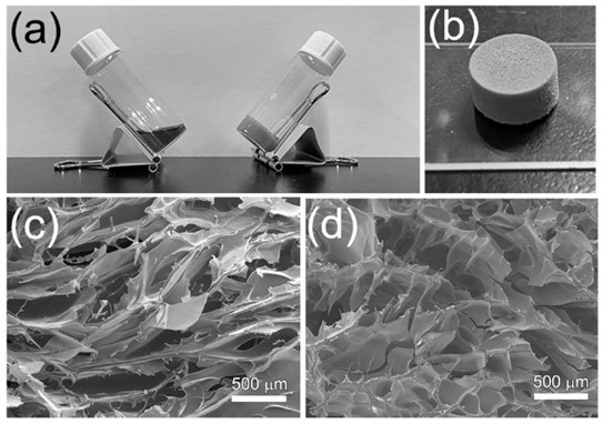 A kind of alginic acid-chitooligosaccharide-zinc oxide composite hydrogel and its preparation method and application
