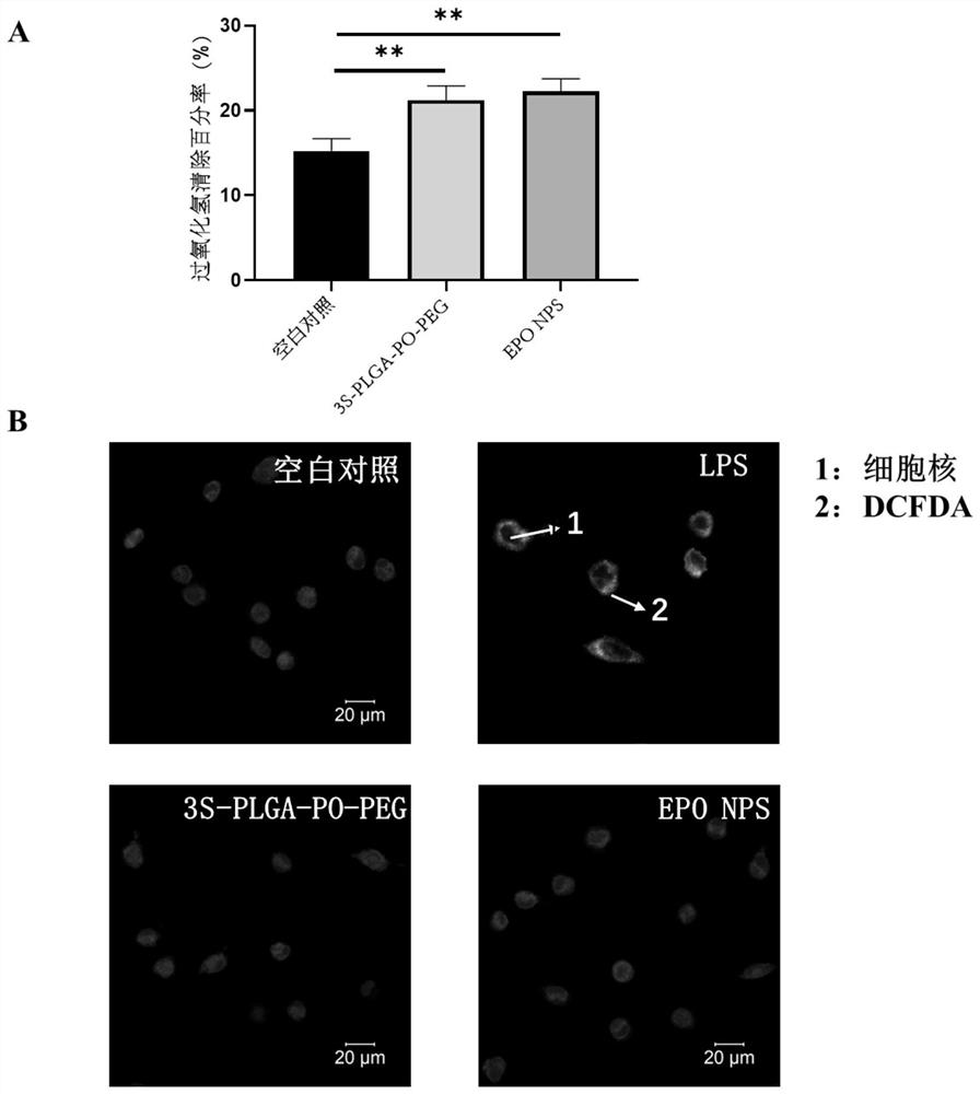 Application of ROS response type nanoparticles coated with hematopoietic growth factors in preparation of drugs for treating hematopoietic injury